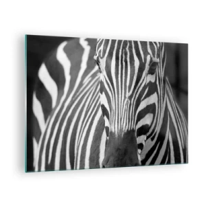 Impression sur verre - Image sur verre - Portrait noir et blanc d'un zèbre avec des rayures visibles - 70x50cm - Le monde est noir et blanc - Décoration murale moderne pour le salon et la chambre ARTTOR