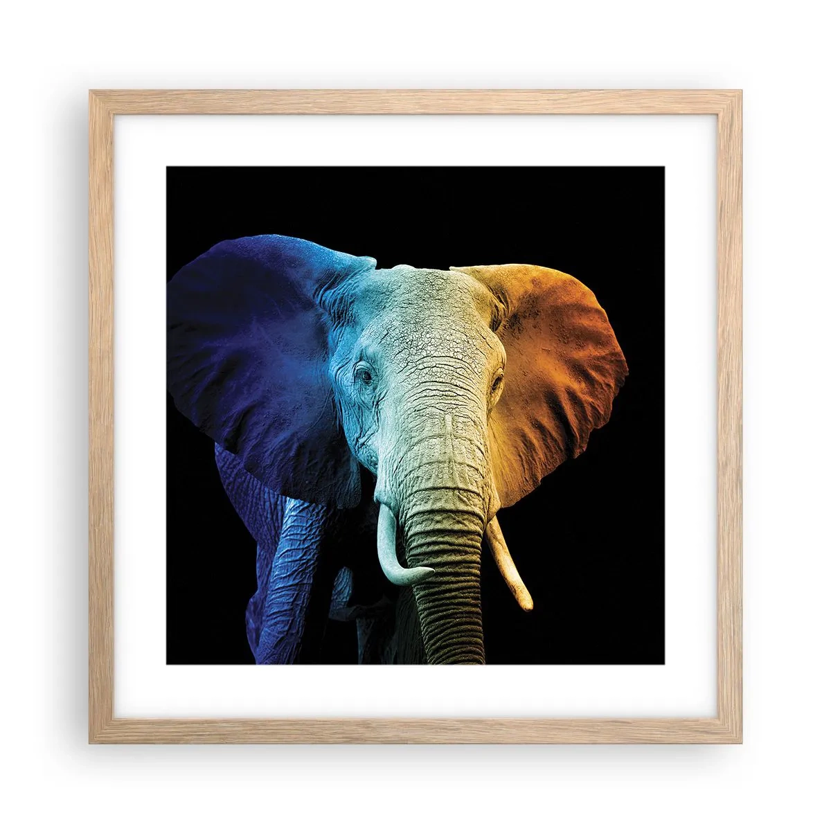 Affiche dans un chêne clair - Poster - Excentrique, pas bizarre - 40x40 cm