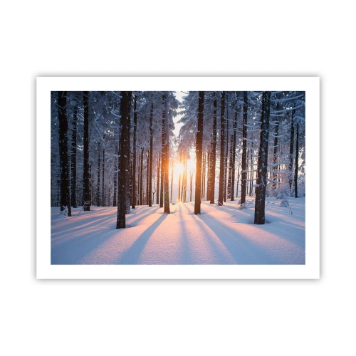 Affiche - Poster - Clairement en noir et blanc - 70x50 cm