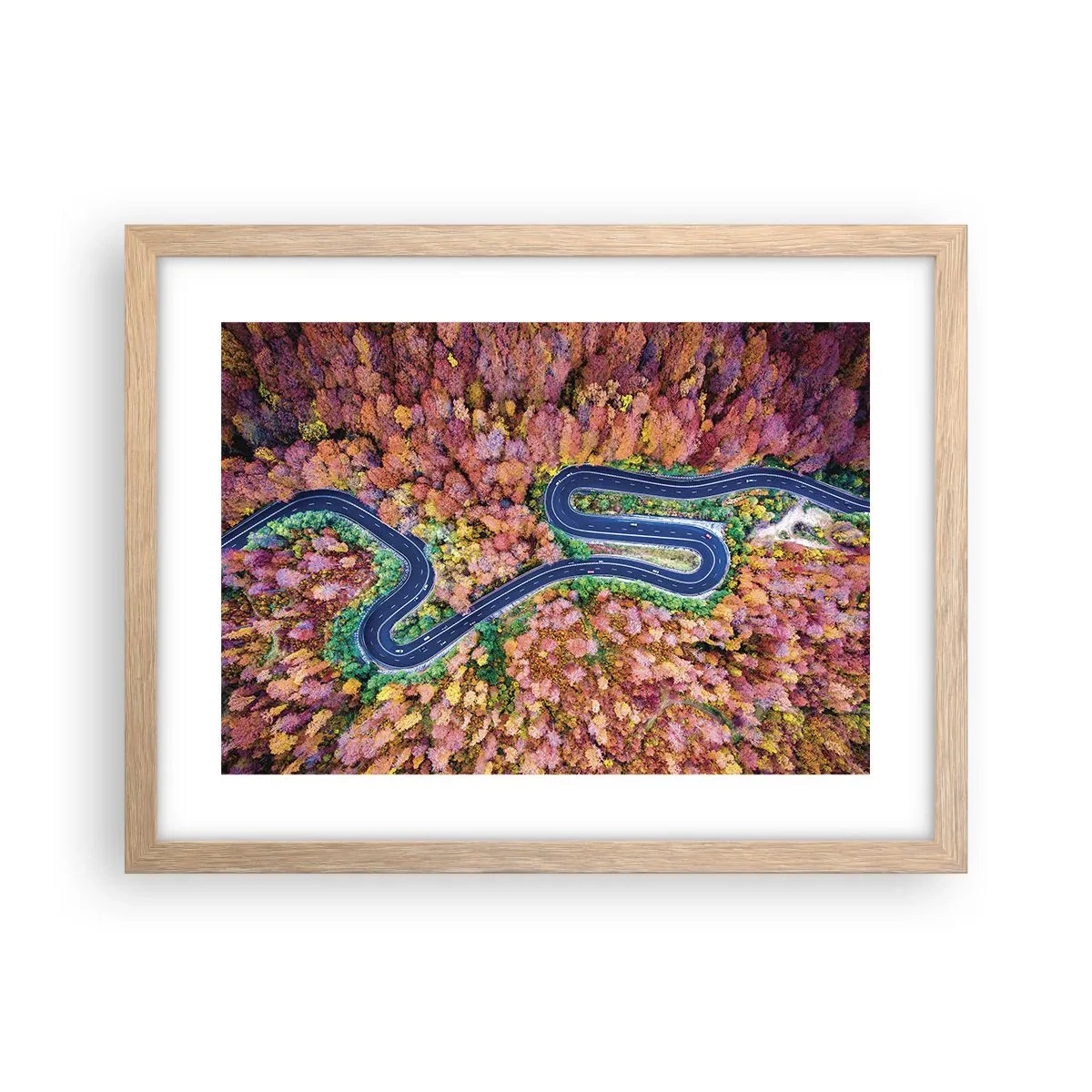 Affiche dans un chêne clair - Poster - Route sinueuse à travers la forêt - 40x30 cm