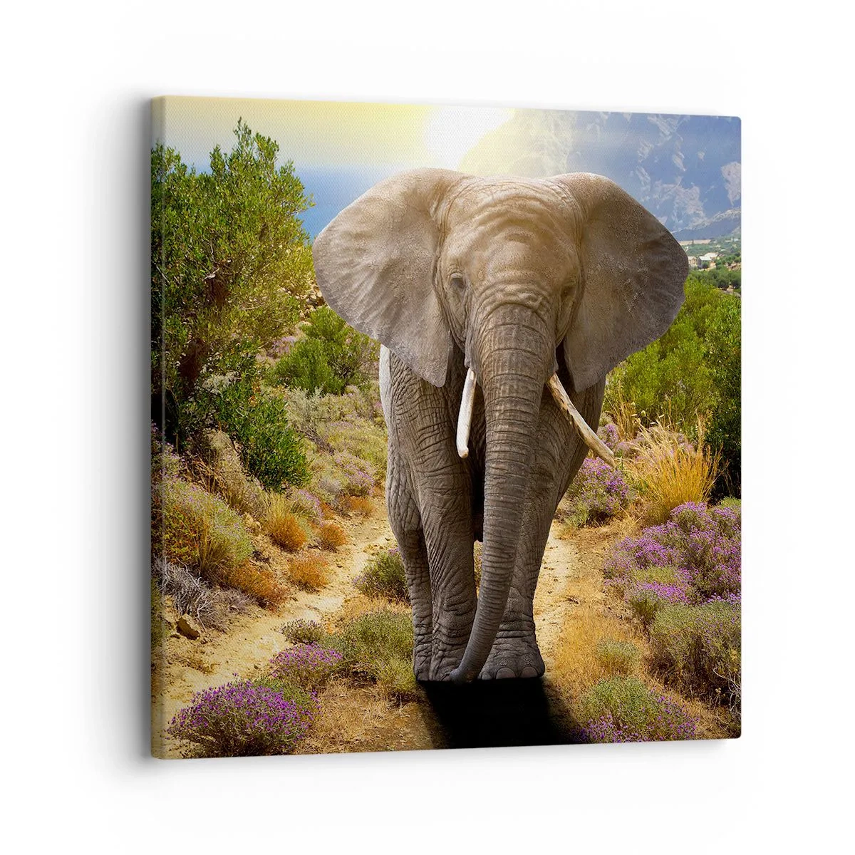 Impression sur toile - Image sur toile - Voilà à quoi ressemblait l'Eden - 30x30 cm