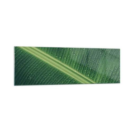 Impression sur verre - Image sur verre - Une feuille verte avec des gouttes d'eau à sa surface - 160x50cm - Structure de vert - Décoration murale moderne pour le salon et la chambre ARTTOR