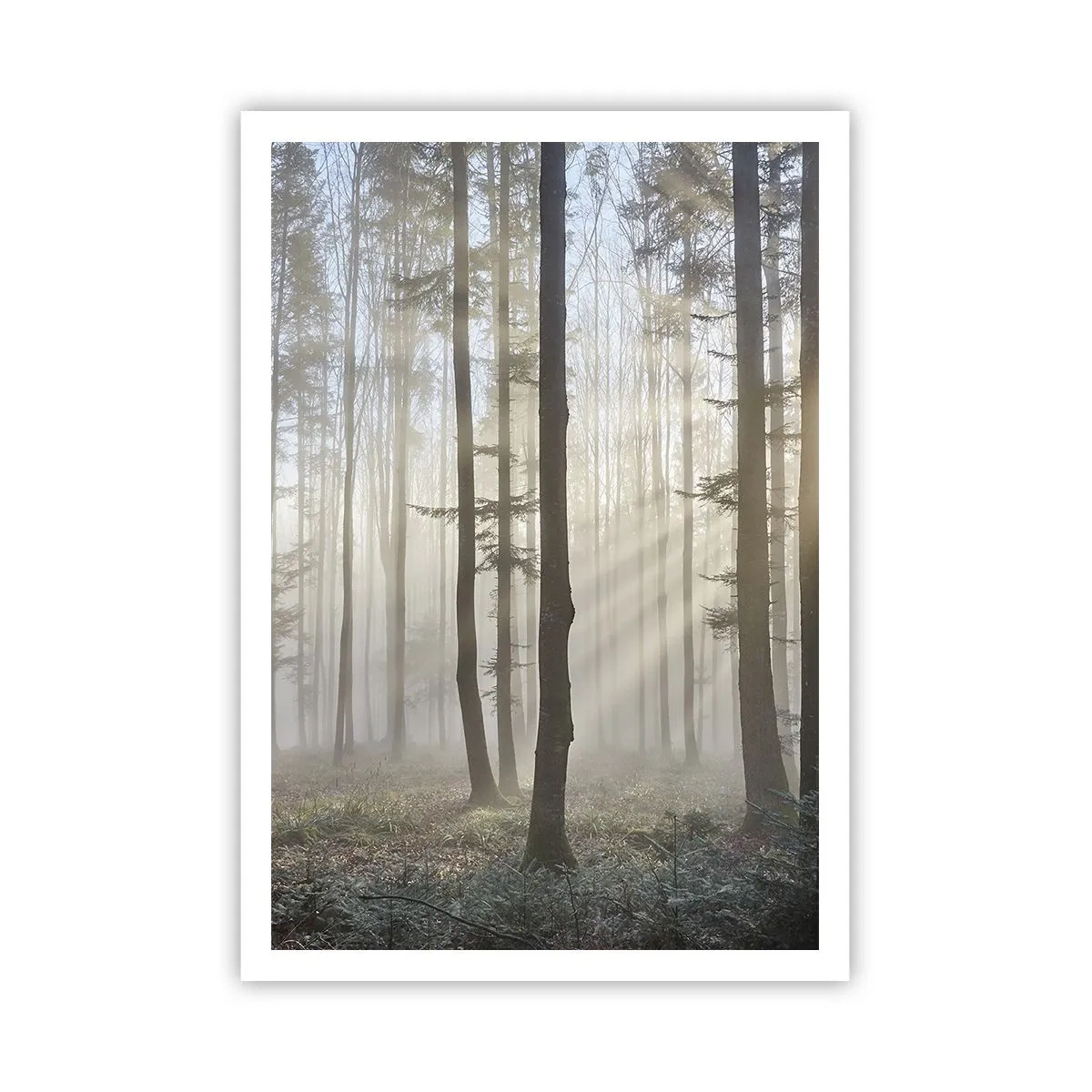 Affiche - Poster - Le brouillard s'est aussi réveillé - 70x100 cm