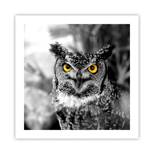 Affiche - Poster - Rien ne se cachera - 50x50 cm