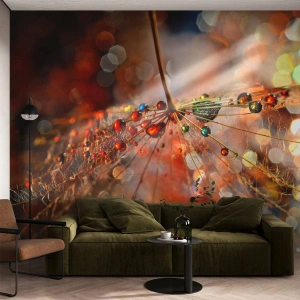 Papier Peint Photo Standard Eco - Enfilé sur un fil d'araignée - Abstraction, toile d'araignée, Morceau - 350x256 cm