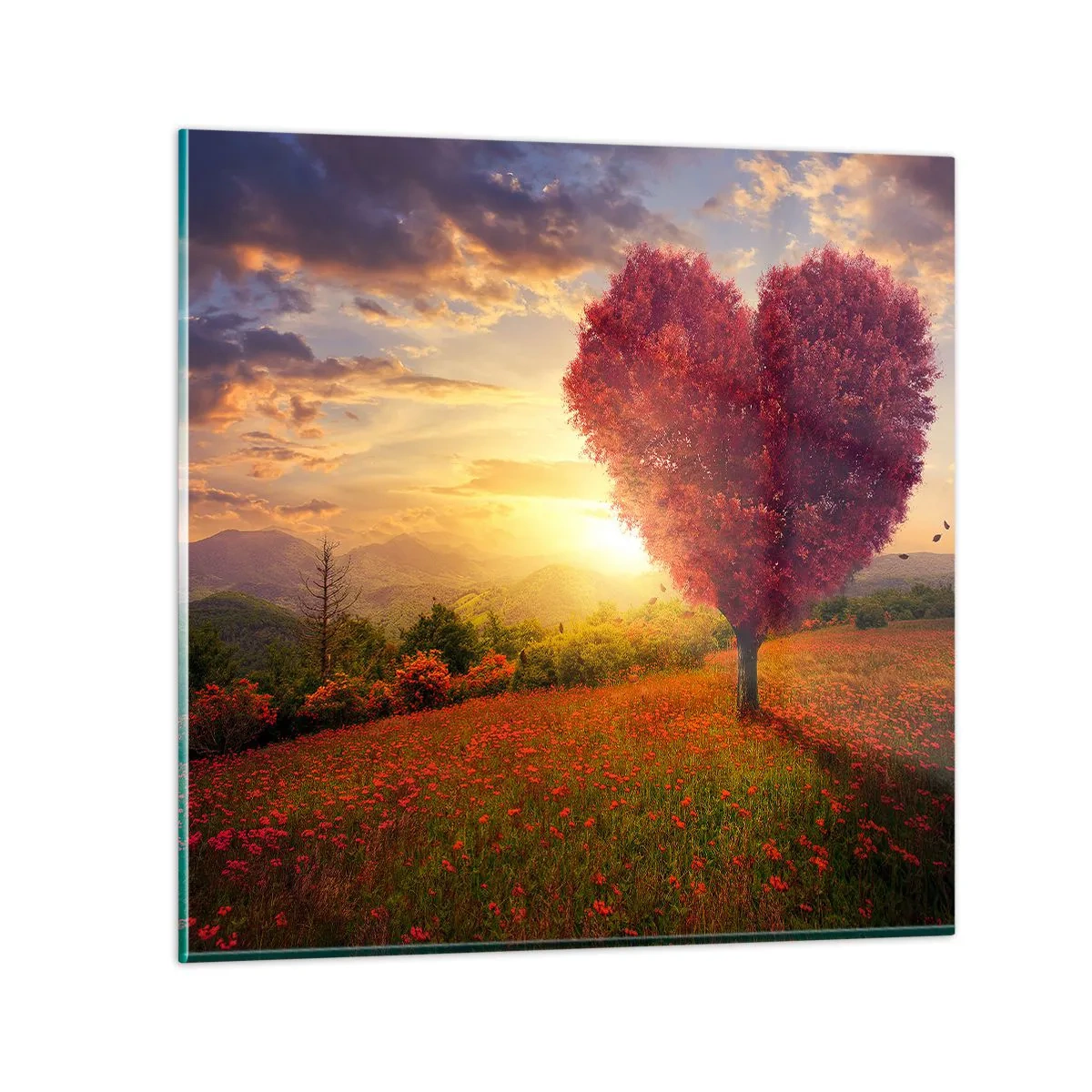 Impression sur verre - Image sur verre - Touche le cœur - 70x70 cm