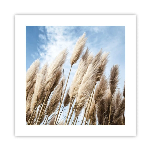 Affiche - Poster - Caresse ensoleillée et venteuse - 40x40 cm