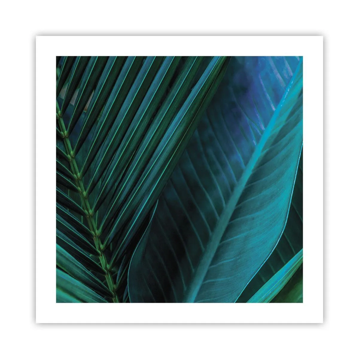 Affiche - Poster - L'anatomie du vert - 50x50 cm