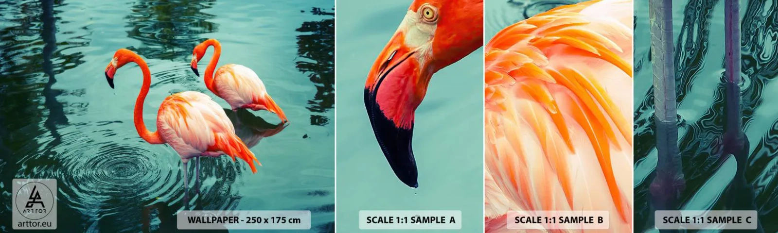 Échantillon de Papier Peint Autocollant Deluxe Sticker - Nous sommes à la mode maintenant - Flamants roses, Des oiseaux, Nature - 100x30 cm