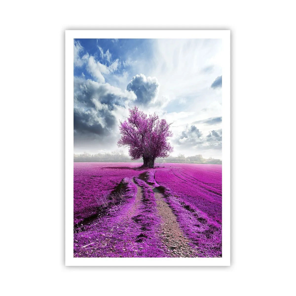 Affiche - Poster - Lande - nature sauvage - 70x100 cm