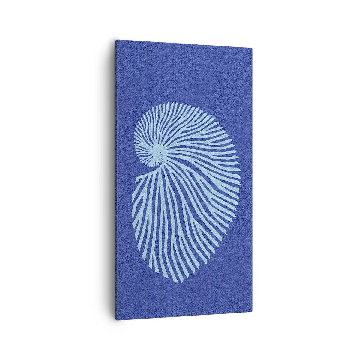 Impression sur toile - Image sur toile - La naissance de la coquille - 55x100 cm