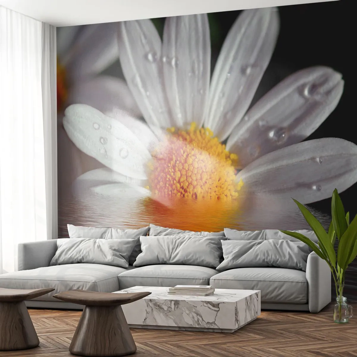 Papier Peint Photo Standard Eco - Le soleil levant des marguerites - Fleur, Camomille, Nature - 250x175 cm