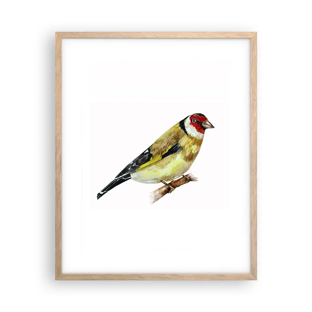 Affiche dans un chêne clair - Poster - Portrait d'oiseau - 40x50 cm