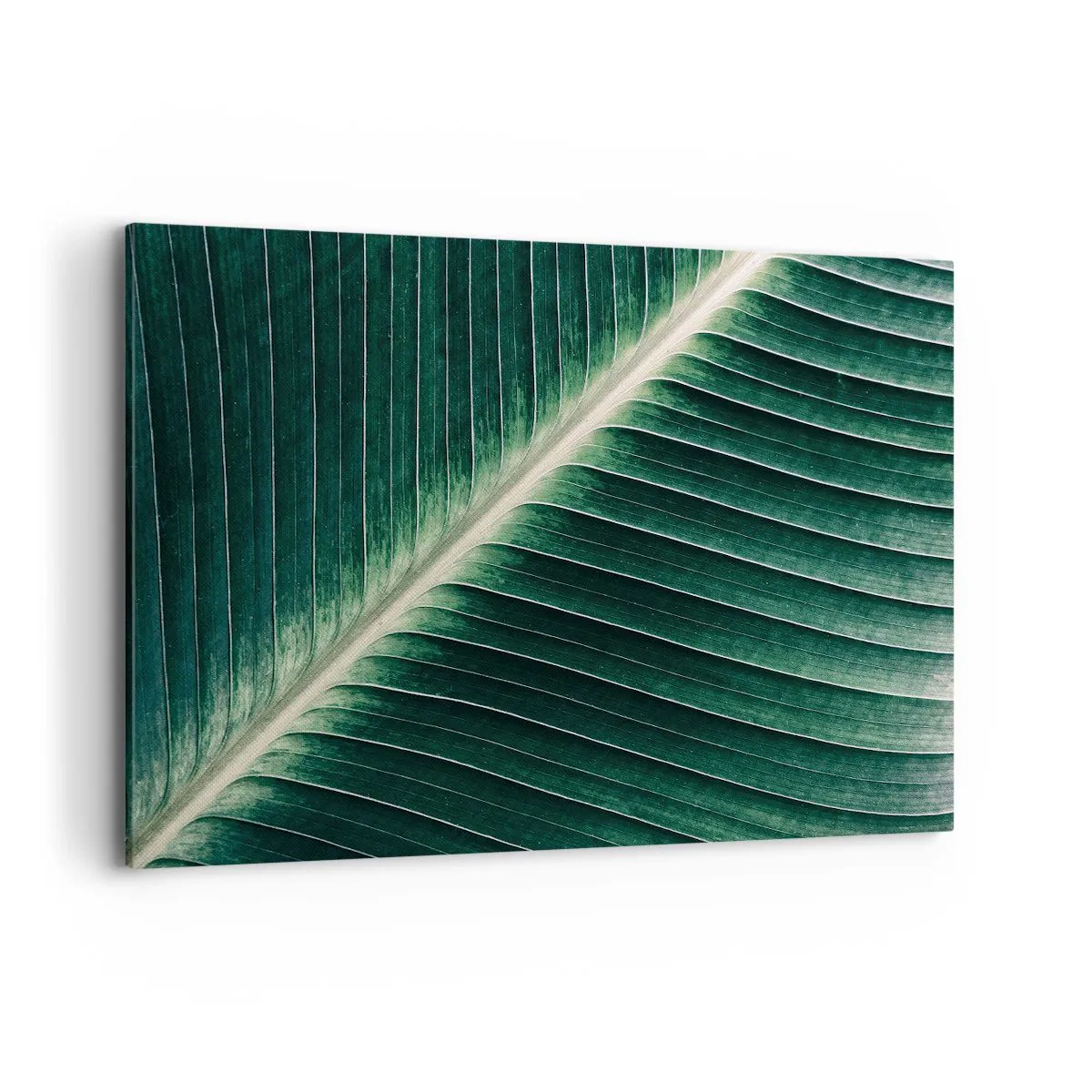Impression sur toile - Image sur toile - Gros plan de la structure d'une feuille verte - 120x80cm - Le rythme de la nature - Décoration murale moderne pour le salon et la chambre ARTTOR