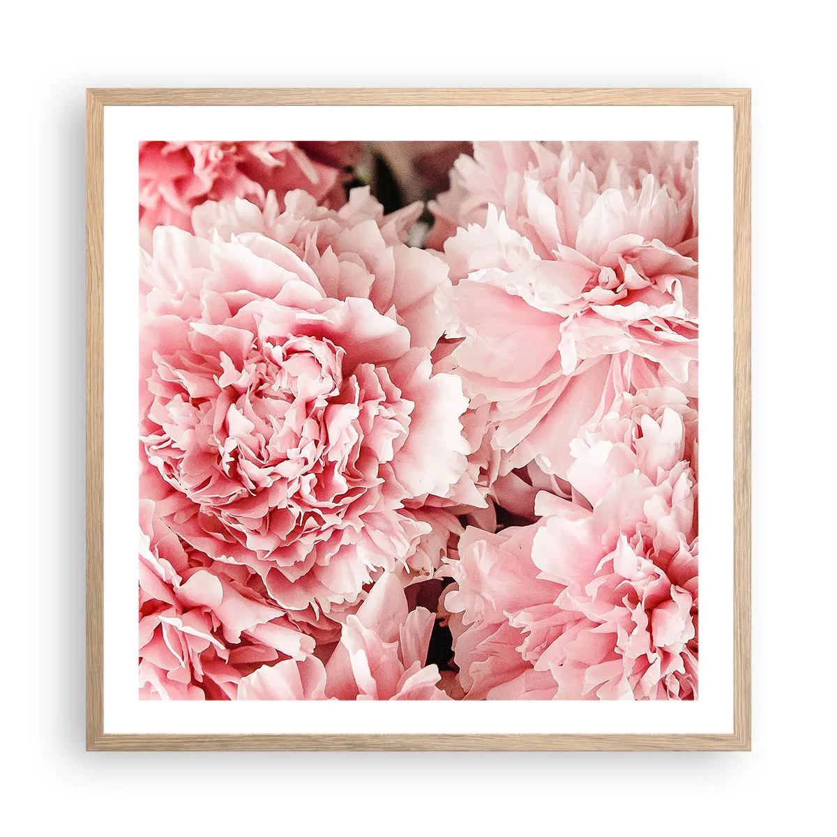 Affiche dans un chêne clair - Poster - Rêve rose - 60x60 cm