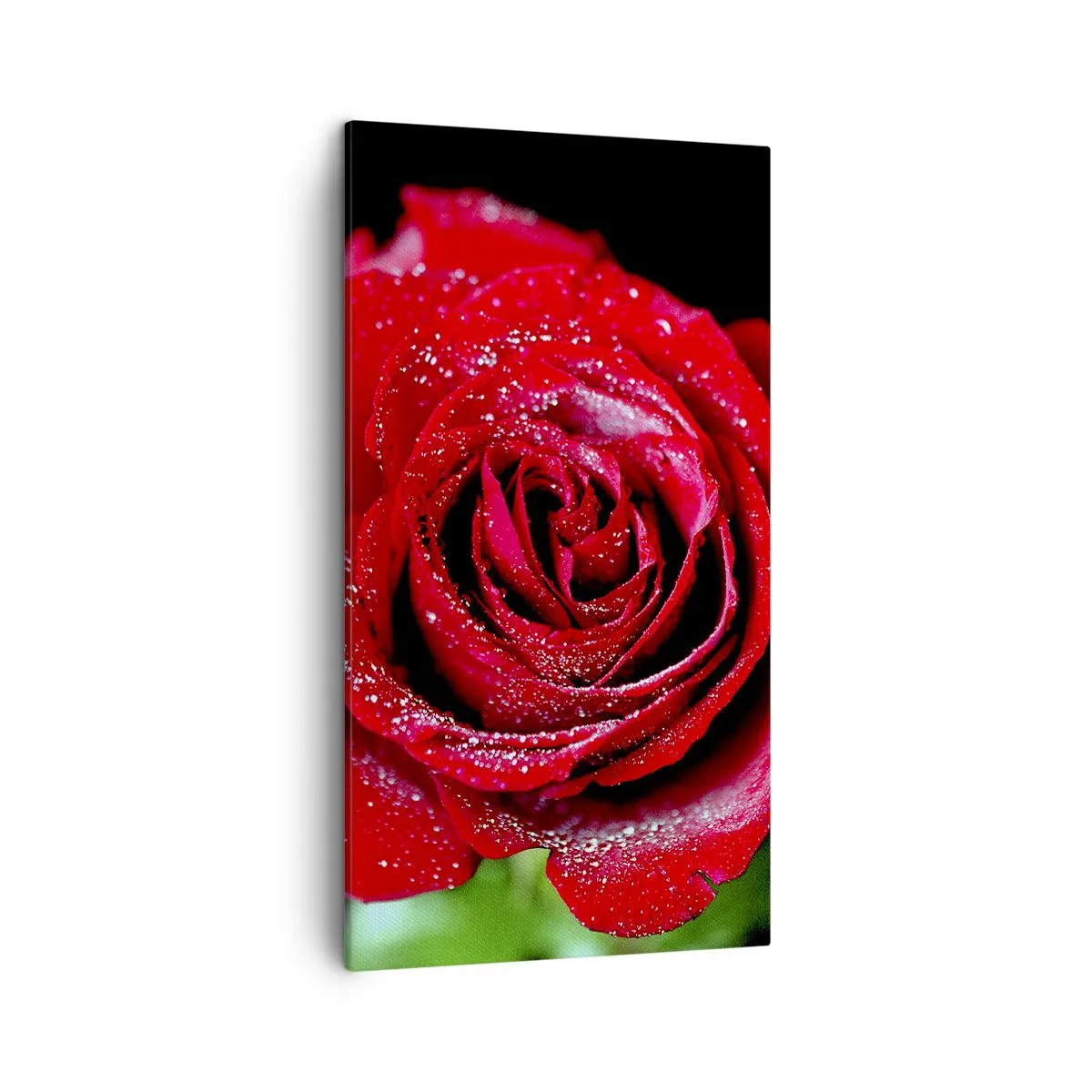 Impression sur toile - Image sur toile - C'est ça l'amour - 45x80 cm