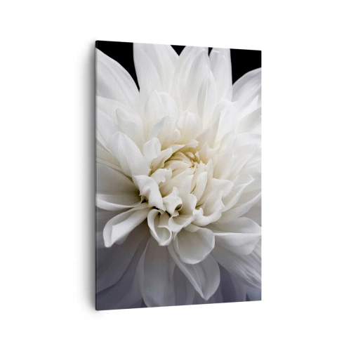 Impression sur toile - Image sur toile - Une délicate fleur blanche sur fond noir dans une composition élégante - 70x100cm - Le matin de la jeune mariéé - Décoration murale moderne pour le salon et la chambre ARTTOR