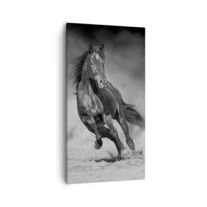 Impression sur toile - Image sur toile - Digne de l'émir lui-même - 55x100 cm