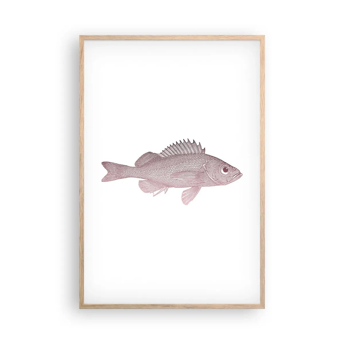 Affiche dans un chêne clair - Poster - Poisson aux grands yeux - 61x91 cm