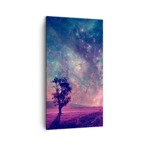 Impression sur toile - Image sur toile - Sous un ciel magique - 45x80 cm