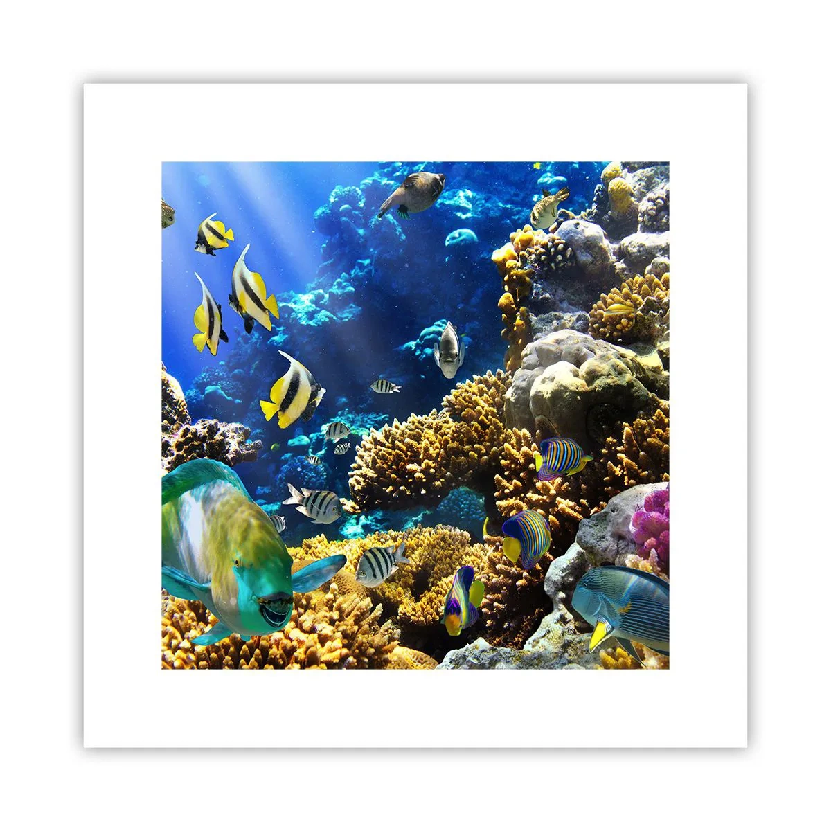 Affiche - Poster - Beaucoup de circulation sur la route des vacances - 30x30 cm