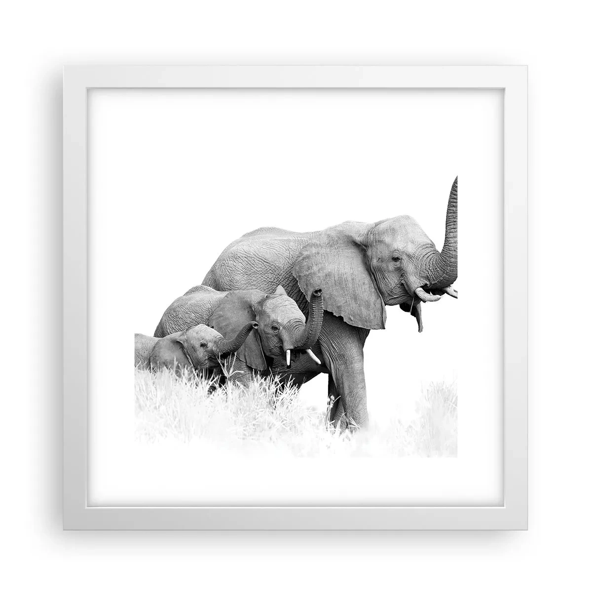 Affiche dans un cadre blanc - Poster - Un, deux, trois - 30x30 cm