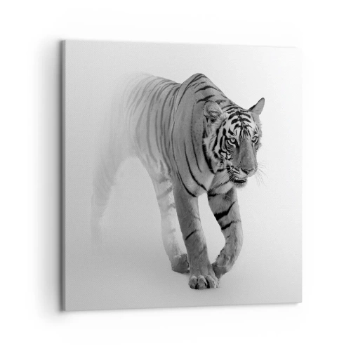 Impression sur toile - Image sur toile - Accroupi dans le brouillard - 50x50 cm