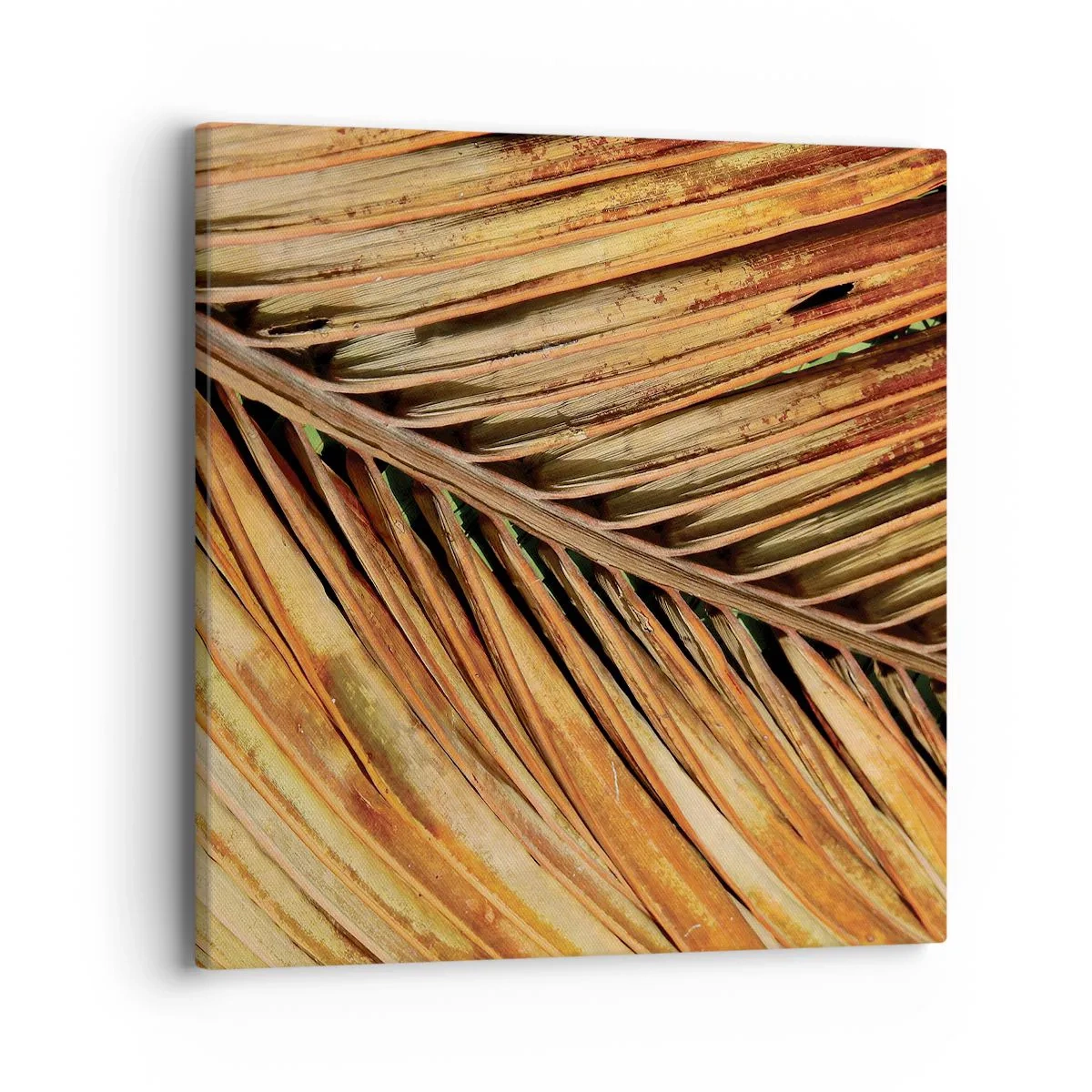Impression sur toile - Image sur toile - Or de noix de coco - 40x40 cm