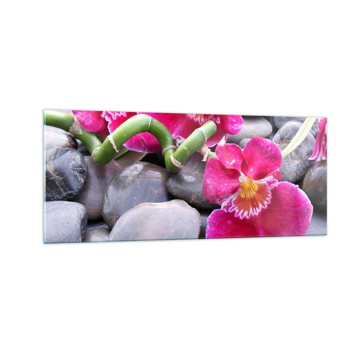 Impression sur verre - Image sur verre - Refroidir et chauffer - 100x40 cm