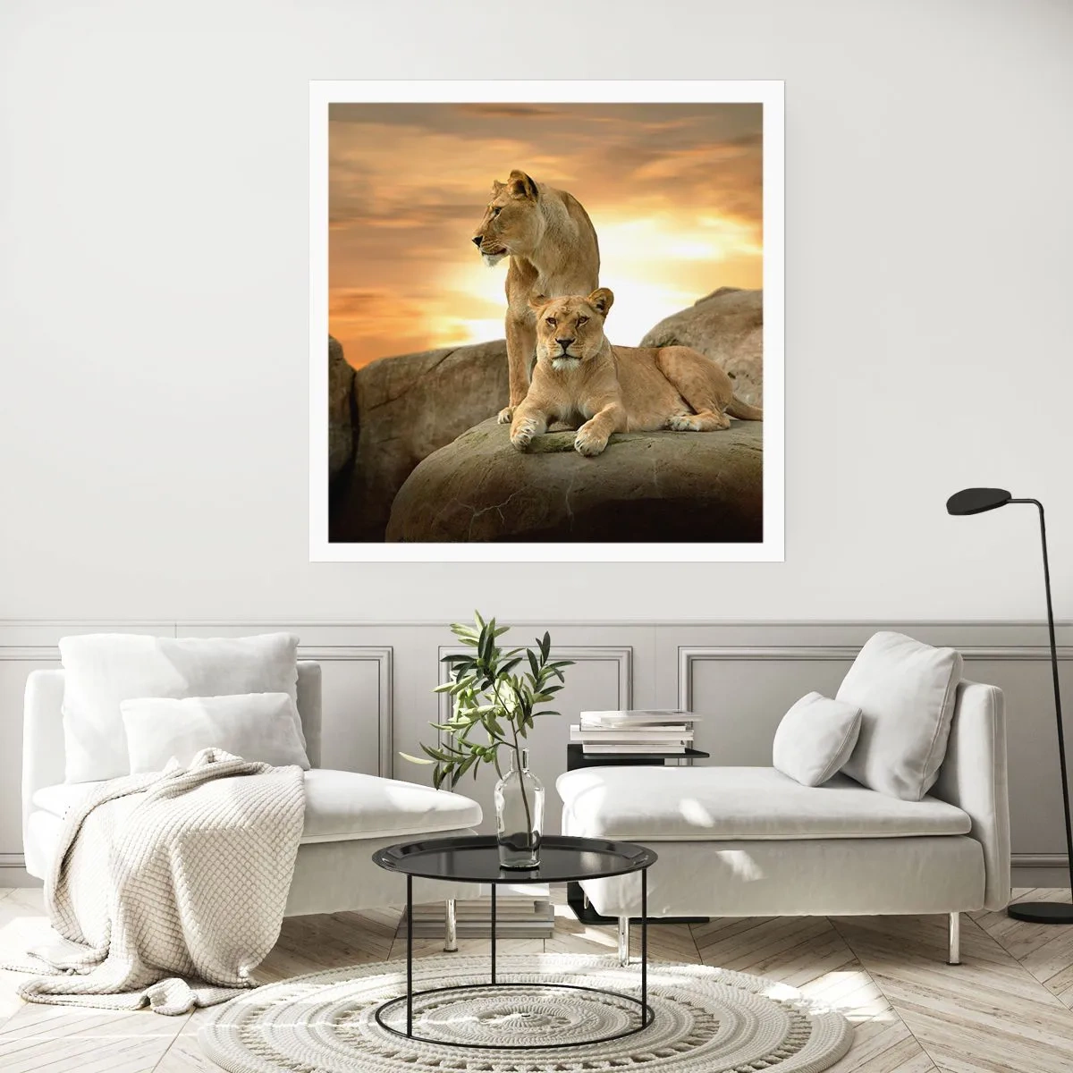 Affiche - Poster - Majesté royale - 50x50 cm