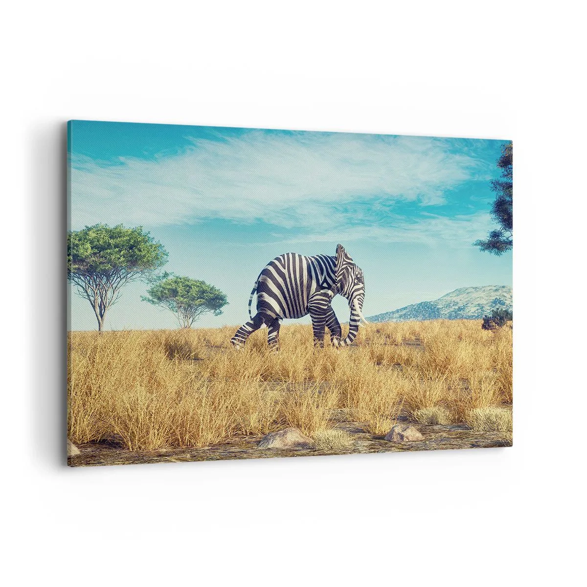 Impression sur toile - Image sur toile - Zèbre dans un paysage africain - 120x80cm - Le gris n'est déjà plus à la mode - Décoration murale moderne pour le salon et la chambre ARTTOR