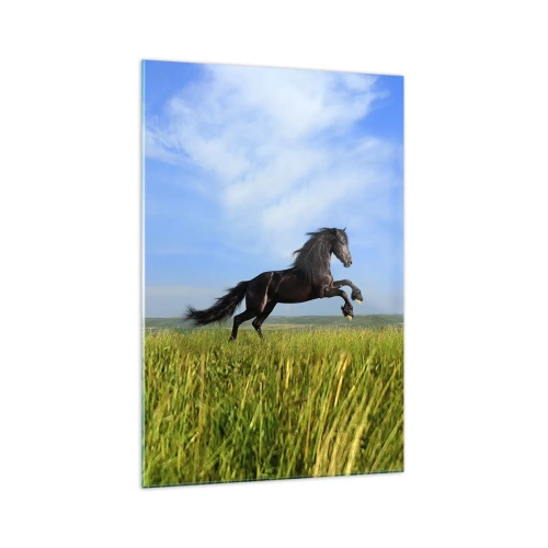 Impression sur verre - Image sur verre - Un cheval noir courant contre un ciel bleu et une prairie verte - 70x100cm - Un manifeste de liberté passionnant - Décoration murale moderne pour le salon et la chambre ARTTOR