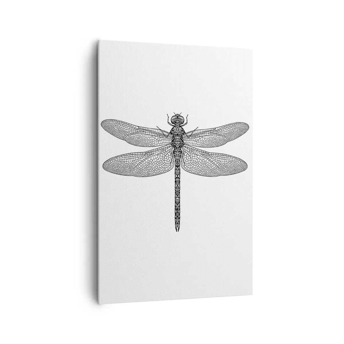 Impression sur toile - Image sur toile - Dessin noir et blanc d'une libellule sur fond blanc dans un style minimaliste - 80x120cm - Précision de la nature - Décoration murale moderne pour le salon et la chambre ARTTOR