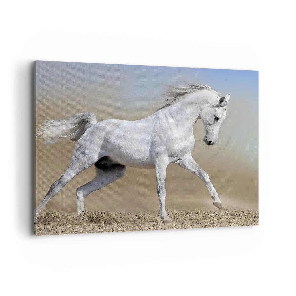 Impression sur toile - Image sur toile - Un cheval blanc galopant à travers un paysage désertique - 100x70cm - Le plus beau conte de fées arabe - Décoration murale moderne pour le salon et la chambre ARTTOR