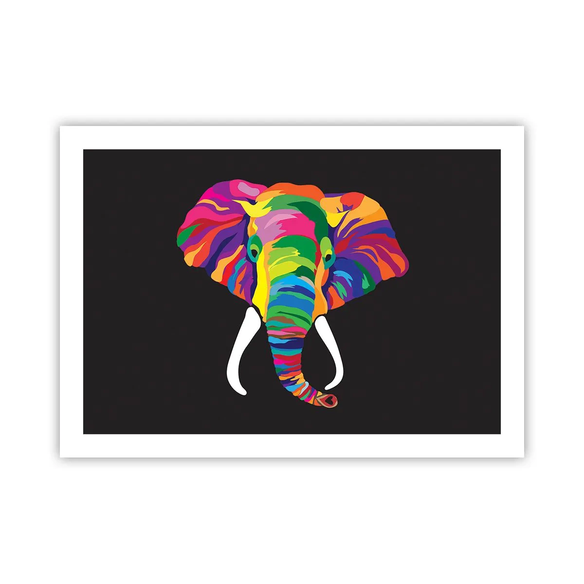 Affiche - Poster - L'éléphant qui aimait se baigner dans un arc-en-ciel - 70x50 cm