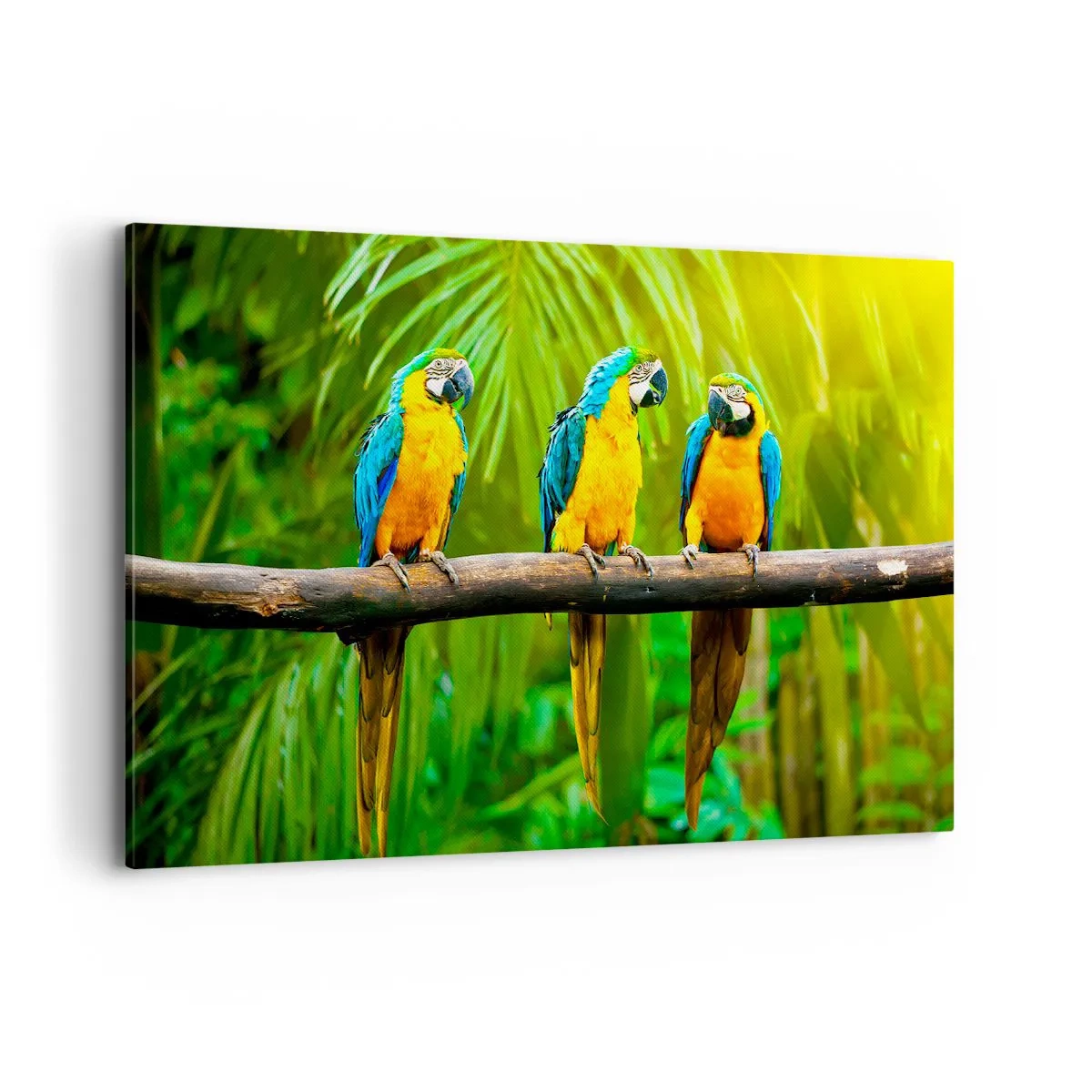 Impression sur toile - Image sur toile - Trois perroquets colorés sur fond de verdure tropicale - 120x80cm - Et avez-vous entendu qu'elle ...? - Décoration murale moderne pour le salon et la chambre ARTTOR