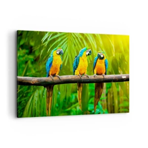 Impression sur toile - Image sur toile - Trois perroquets colorés sur fond de verdure tropicale - 100x70cm - Et avez-vous entendu qu'elle ...? - Décoration murale moderne pour le salon et la chambre ARTTOR
