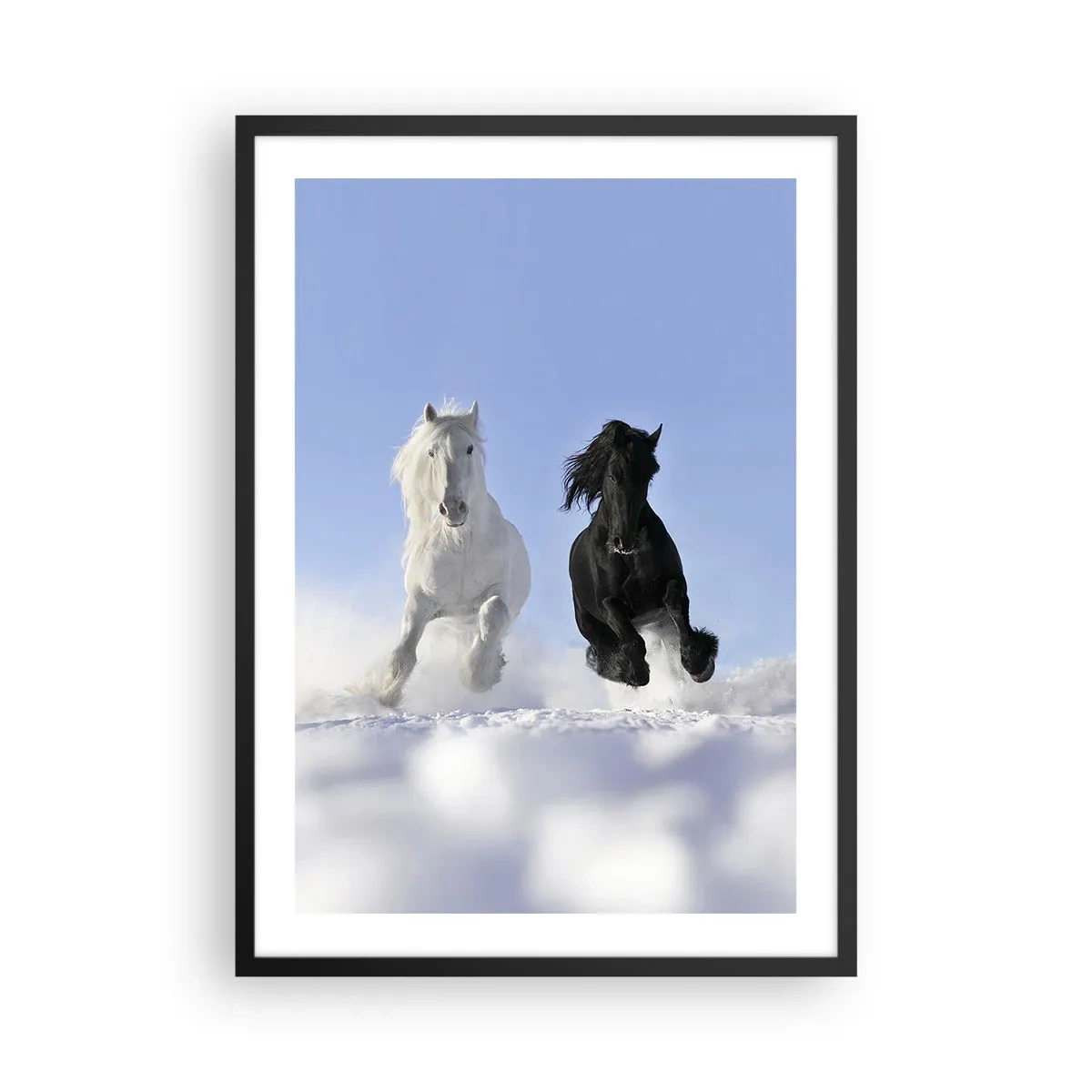 Affiche dans un cadre noir - Poster - Un cheval blanc et noir galopant dans la neige - 50x70cm - Galop noir et blanc - Décoration murale moderne pour le salon et la chambre ARTTOR