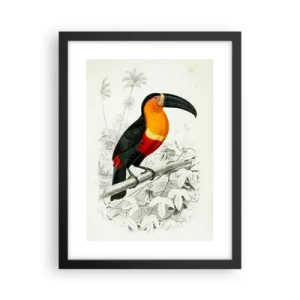 Affiche dans un cadre noir - Poster - Couleurs des oiseaux - 30x40 cm