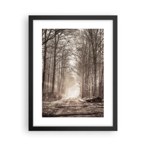 Affiche dans un cadre noir - Poster - Cathédrale de la forêt - 30x40 cm