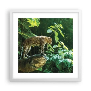Affiche dans un cadre blanc - Poster - À la chasse? - 40x40 cm