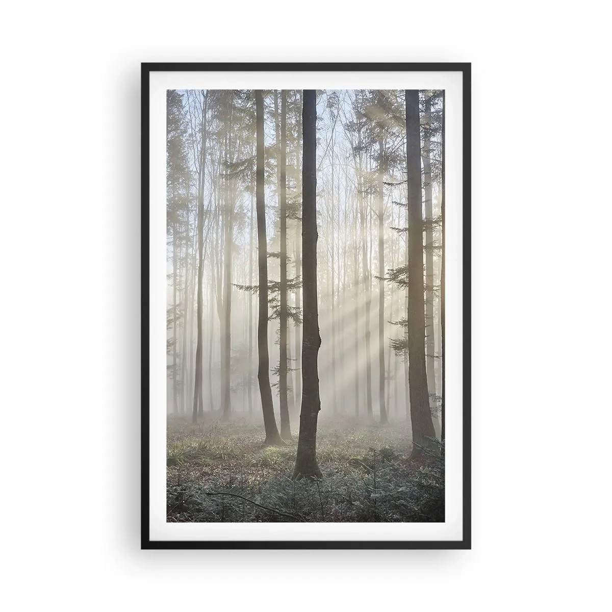 Affiche dans un cadre noir - Poster - Le brouillard s'est aussi réveillé - 61x91 cm