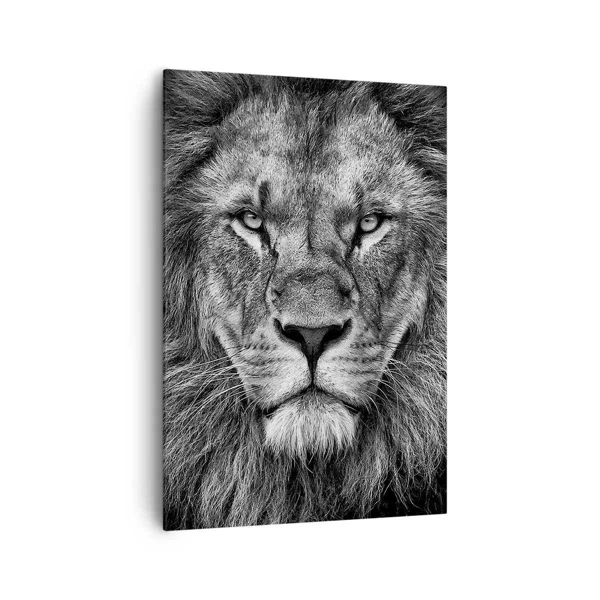 Impression sur toile - Image sur toile - Portrait d'un lion majestueux en noir et blanc - 70x100cm - En vêtement de sacre - Décoration murale moderne pour le salon et la chambre ARTTOR