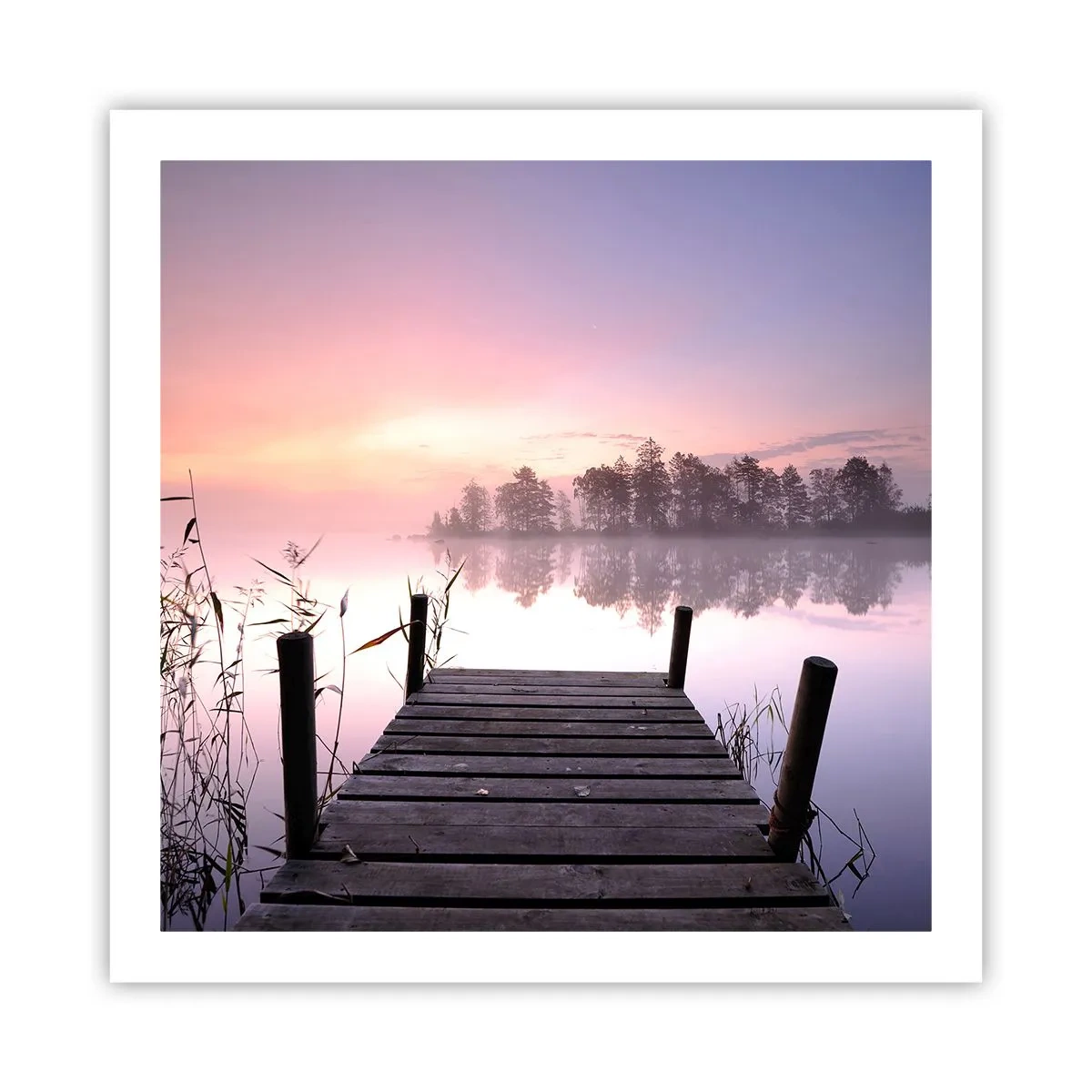 Affiche - Poster - De la brume lilas… - 60x60 cm