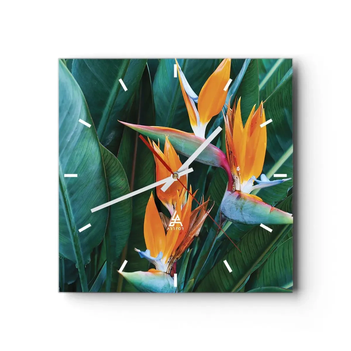Horloge murale - Pendule murale - Fleurs de strelitzia exotiques entourées de feuilles vertes - 30x30cm - Est-ce une fleur, est-ce un oiseaux? - Décoration murale moderne pour le salon et la chambre ARTTOR