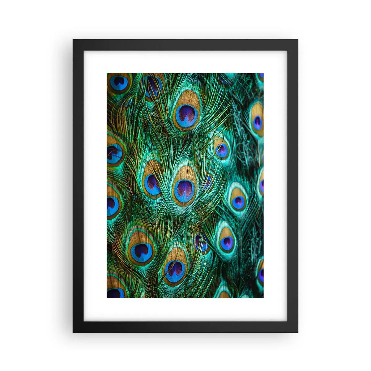 Affiche dans un cadre noir - Poster - Un regard de paon - 30x40 cm