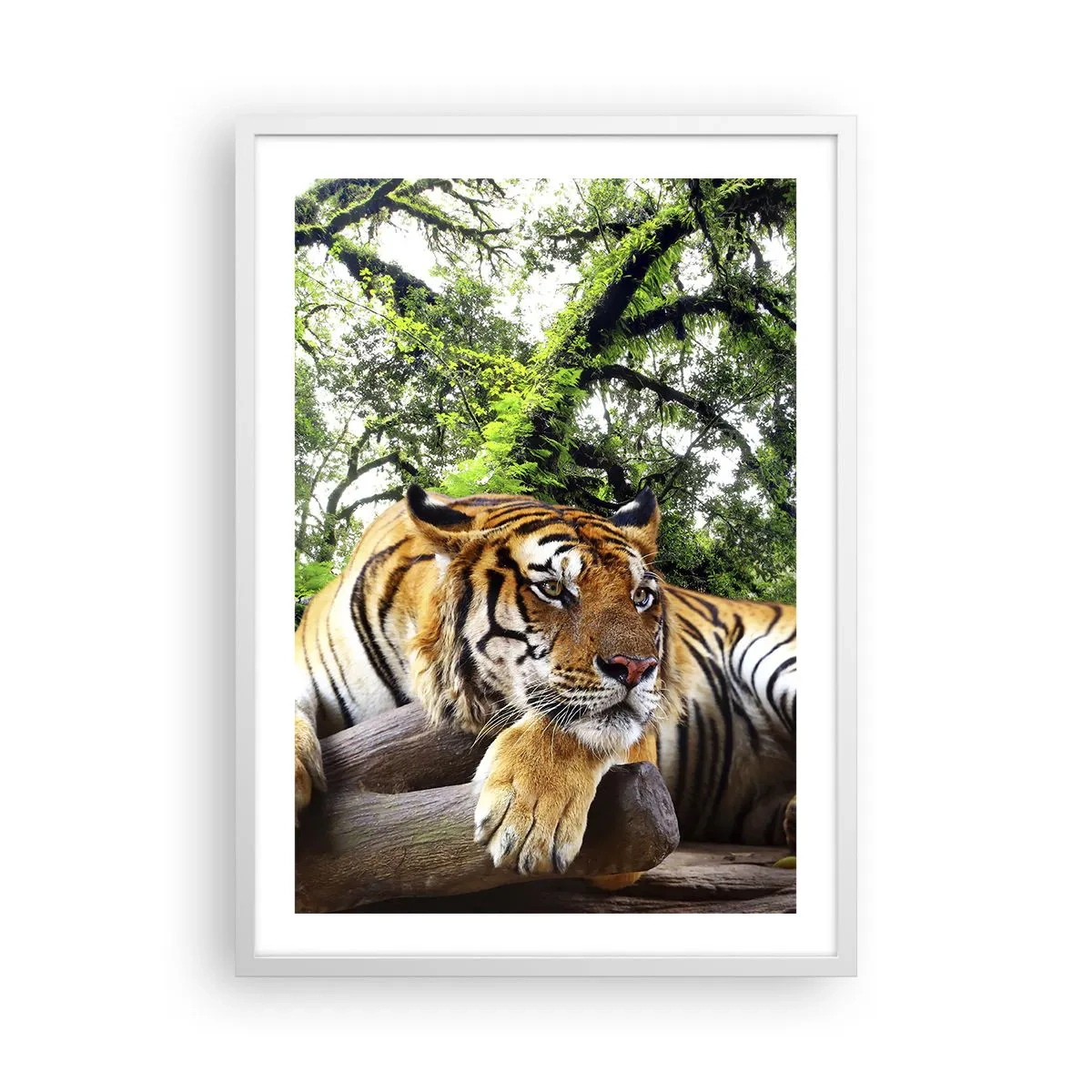 Affiche dans un cadre blanc - Poster - Cordialement - 50x70 cm