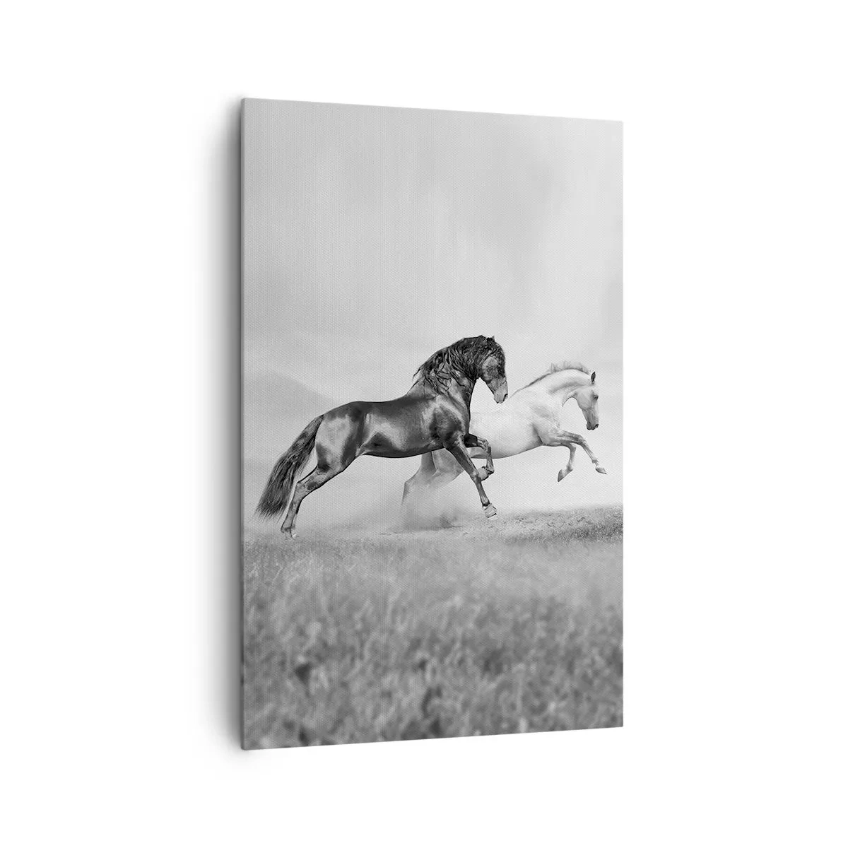 Impression sur toile - Image sur toile - Deux chevaux au galop dans une composition dynamique en noir et blanc - 80x120cm - Anges et démons - Décoration murale moderne pour le salon et la chambre ARTTOR