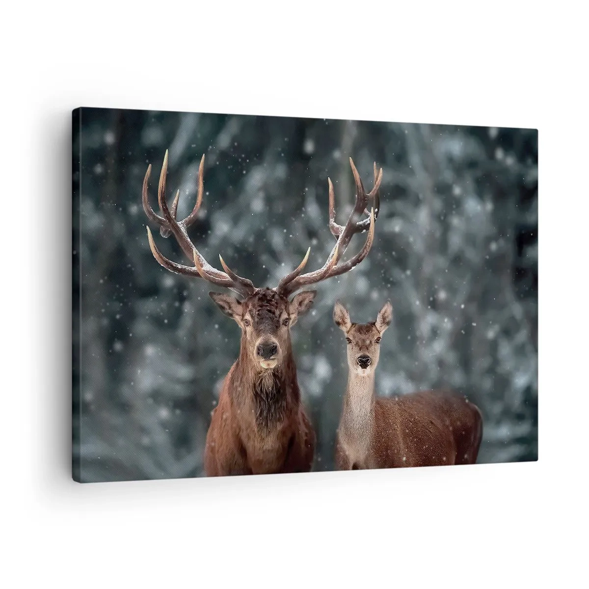 Impression sur toile - Image sur toile - Cerf dans une forêt d'hiver enneigée - 70x50cm - Le roi de la forêt avec sa femme - Décoration murale moderne pour le salon et la chambre ARTTOR