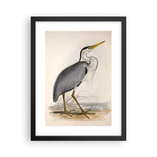 Affiche dans un cadre noir - Poster - Grâce au héron - 30x40 cm